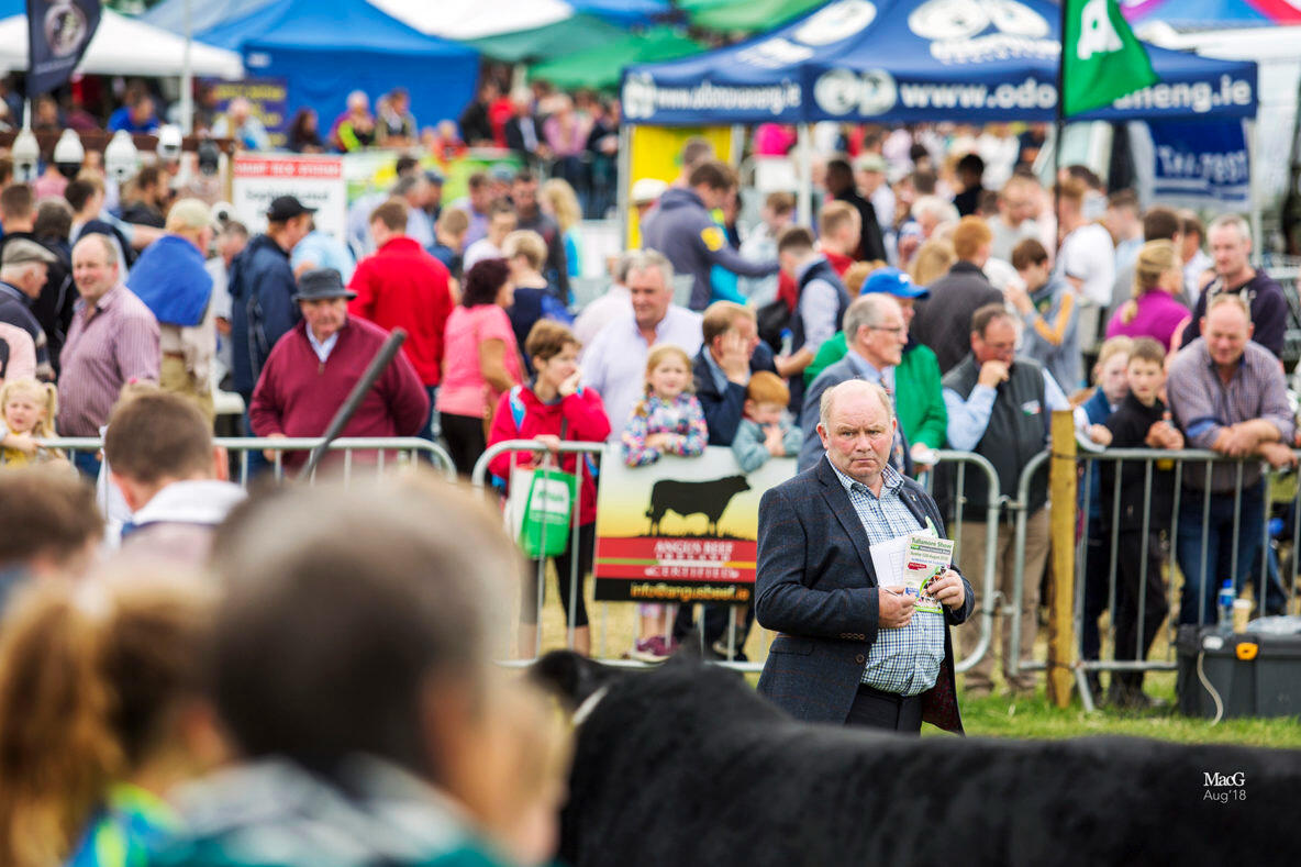 Tullamore Show We will visit the national agriculture show of Ireland